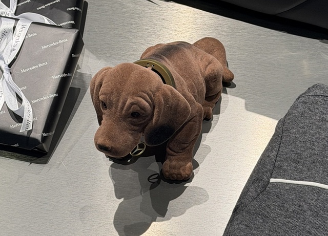 Md kakaotalk 20260225 125409147 09